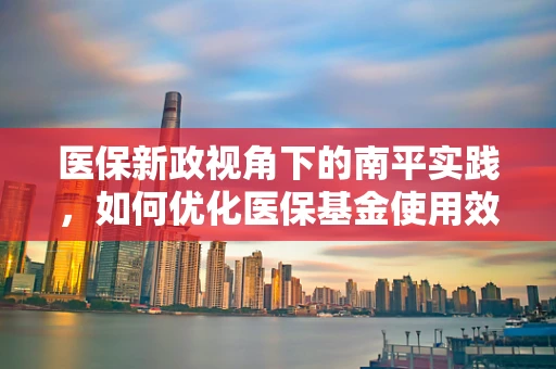 医保新政视角下的南平实践，如何优化医保基金使用效率？