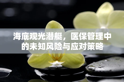 海底观光潜艇，医保管理中的未知风险与应对策略