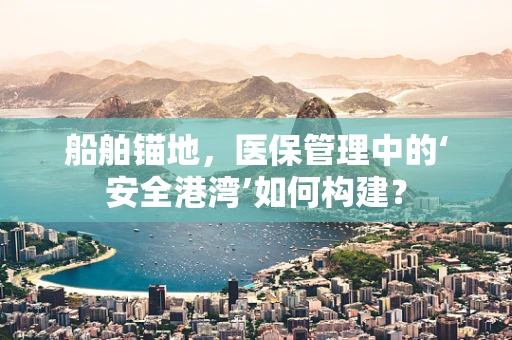 船舶锚地，医保管理中的‘安全港湾’如何构建？