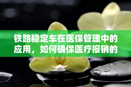 铁路稳定车在医保管理中的应用，如何确保医疗报销的‘铁轨’稳固？