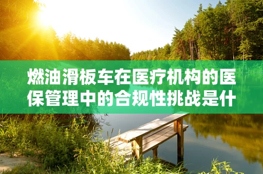 燃油滑板车在医疗机构的医保管理中的合规性挑战是什么？