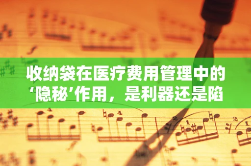 收纳袋在医疗费用管理中的‘隐秘’作用，是利器还是陷阱？