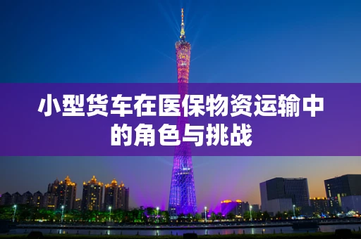 小型货车在医保物资运输中的角色与挑战
