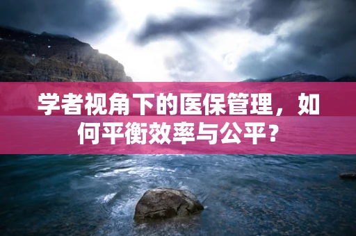 学者视角下的医保管理，如何平衡效率与公平？