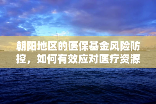 朝阳地区的医保基金风险防控，如何有效应对医疗资源集中使用的挑战？
