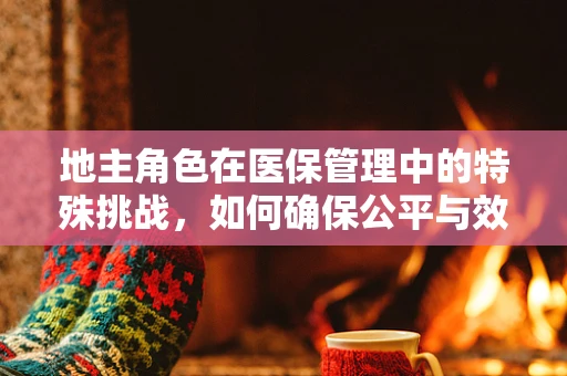 地主角色在医保管理中的特殊挑战，如何确保公平与效率的平衡？