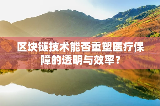 区块链技术能否重塑医疗保障的透明与效率？