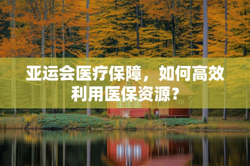 亚运会医疗保障，如何高效利用医保资源？