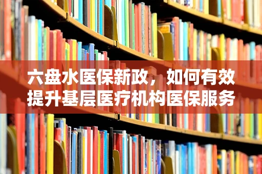 六盘水医保新政，如何有效提升基层医疗机构医保服务效率？
