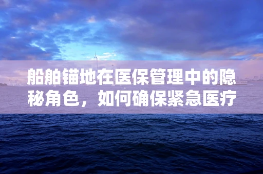 船舶锚地在医保管理中的隐秘角色，如何确保紧急医疗服务的可及性？
