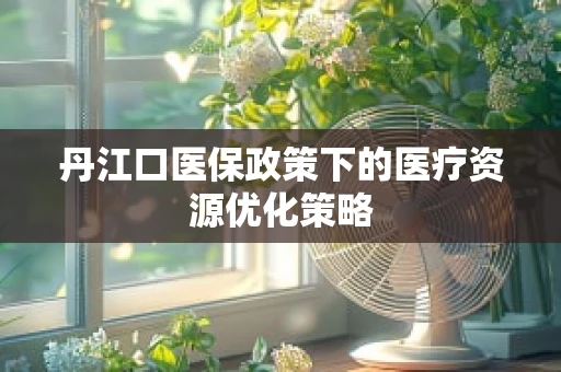 丹江口医保政策下的医疗资源优化策略