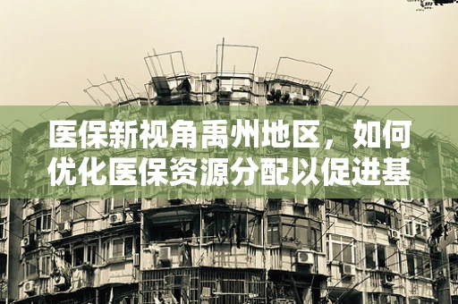 医保新视角禹州地区，如何优化医保资源分配以促进基层医疗服务均衡发展？