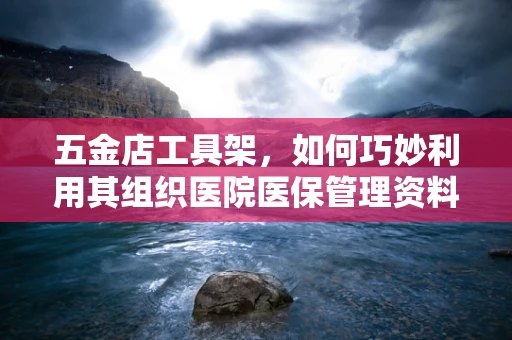五金店工具架，如何巧妙利用其组织医院医保管理资料？