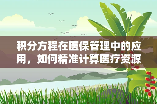 积分方程在医保管理中的应用，如何精准计算医疗资源分配？
