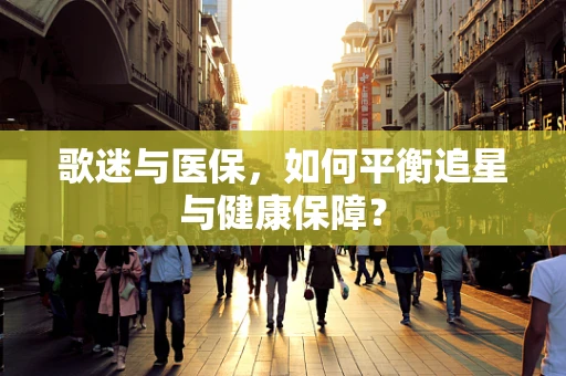 歌迷与医保，如何平衡追星与健康保障？
