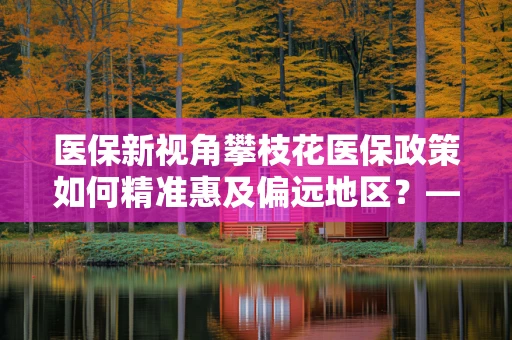 医保新视角攀枝花医保政策如何精准惠及偏远地区？——以‘阳光之城’的医疗保障实践为例