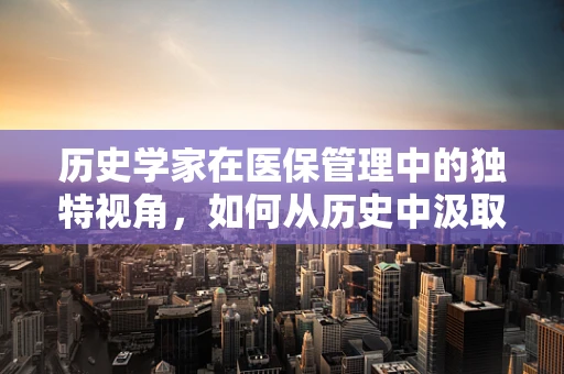 历史学家在医保管理中的独特视角，如何从历史中汲取智慧以优化现代医疗保障？