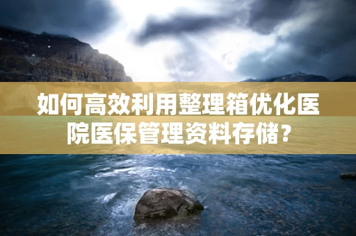 如何高效利用整理箱优化医院医保管理资料存储？