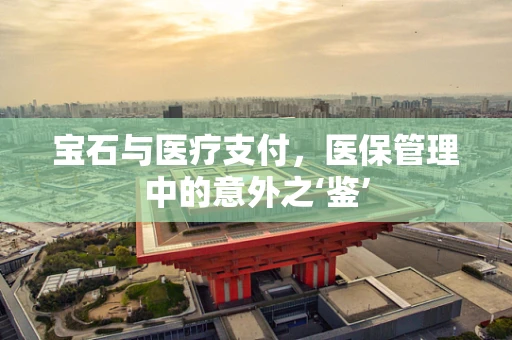 宝石与医疗支付，医保管理中的意外之‘鉴’