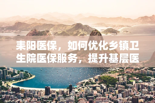 耒阳医保，如何优化乡镇卫生院医保服务，提升基层医疗保障水平？