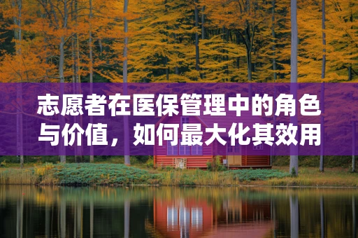 志愿者在医保管理中的角色与价值，如何最大化其效用？