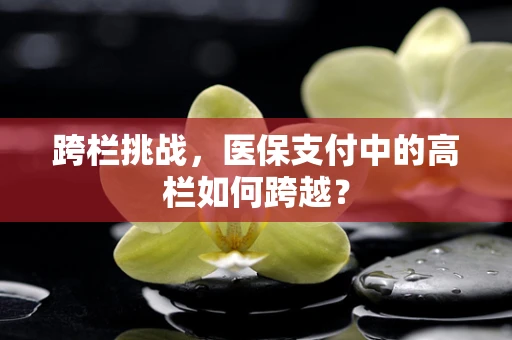 跨栏挑战，医保支付中的高栏如何跨越？