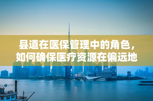 县道在医保管理中的角色，如何确保医疗资源在偏远地区的畅通流动？