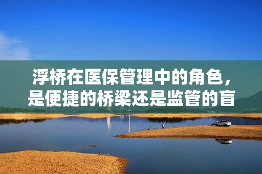 浮桥在医保管理中的角色，是便捷的桥梁还是监管的盲区？