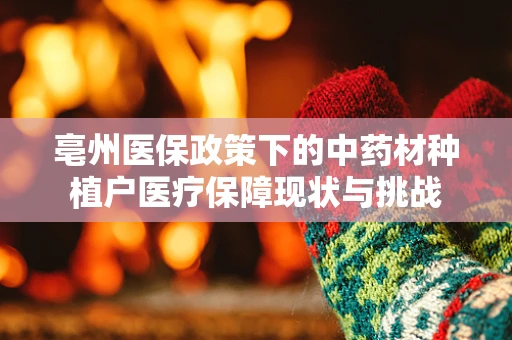 亳州医保政策下的中药材种植户医疗保障现状与挑战