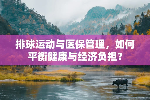 排球运动与医保管理，如何平衡健康与经济负担？