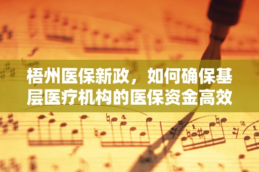 梧州医保新政，如何确保基层医疗机构的医保资金高效利用？