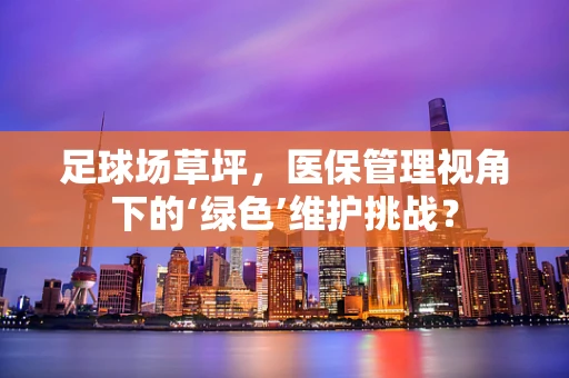 足球场草坪，医保管理视角下的‘绿色’维护挑战？
