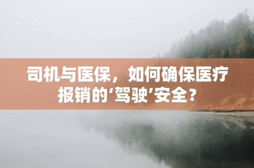 司机与医保，如何确保医疗报销的‘驾驶’安全？