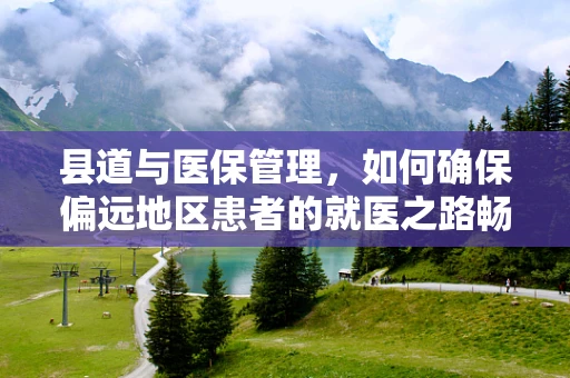 县道与医保管理，如何确保偏远地区患者的就医之路畅通无阻？