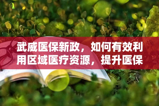 武威医保新政，如何有效利用区域医疗资源，提升医保服务效率？