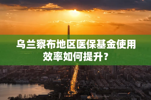 乌兰察布地区医保基金使用效率如何提升？