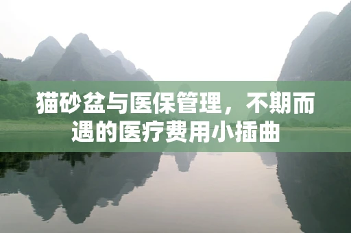 猫砂盆与医保管理，不期而遇的医疗费用小插曲