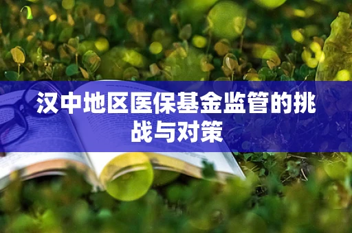 汉中地区医保基金监管的挑战与对策