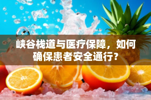 峡谷栈道与医疗保障，如何确保患者安全通行？