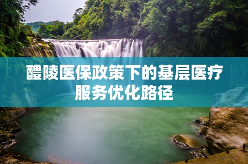 醴陵医保政策下的基层医疗服务优化路径