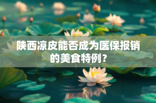 陕西凉皮能否成为医保报销的美食特例？