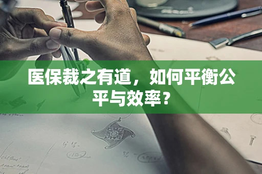 医保裁之有道，如何平衡公平与效率？