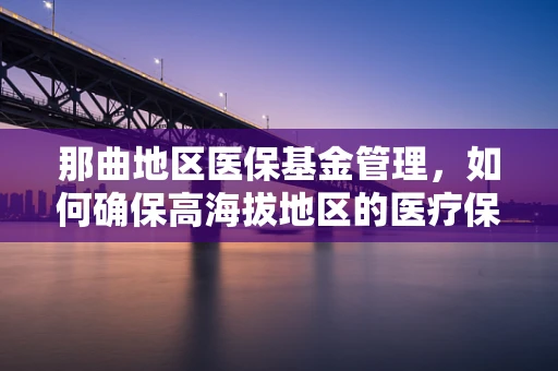 那曲地区医保基金管理，如何确保高海拔地区的医疗保障？