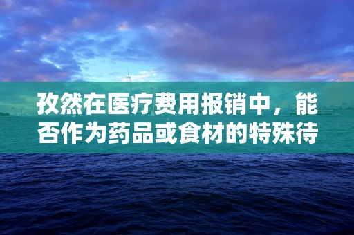孜然在医疗费用报销中，能否作为药品或食材的特殊待遇？