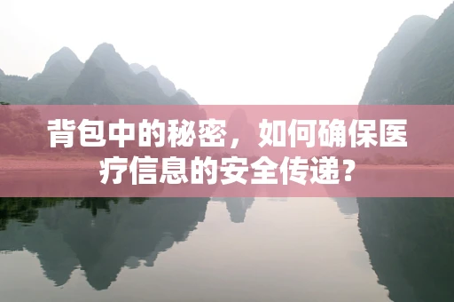 背包中的秘密，如何确保医疗信息的安全传递？