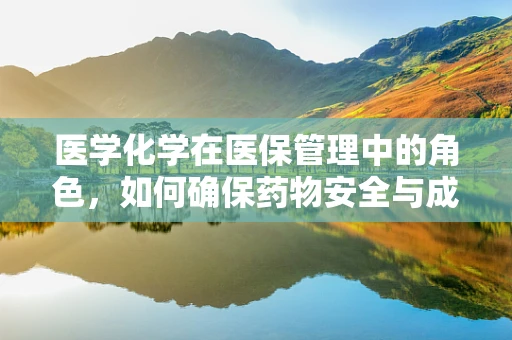医学化学在医保管理中的角色，如何确保药物安全与成本控制？
