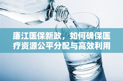 廉江医保新政，如何确保医疗资源公平分配与高效利用？