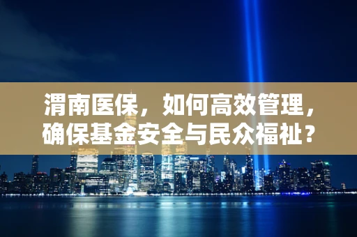 渭南医保，如何高效管理，确保基金安全与民众福祉？