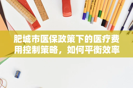 肥城市医保政策下的医疗费用控制策略，如何平衡效率与公平？