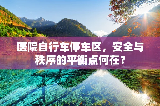 医院自行车停车区，安全与秩序的平衡点何在？